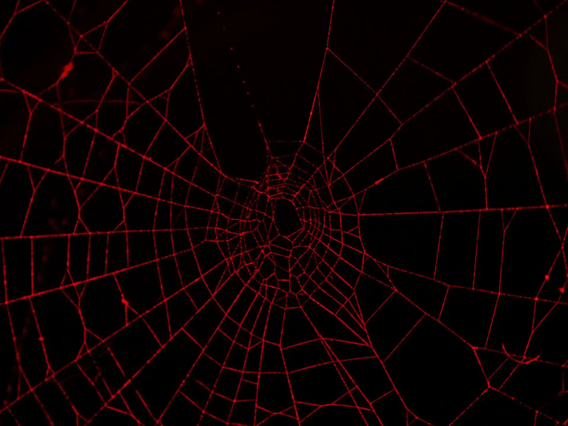 Google Core Web Vitals: